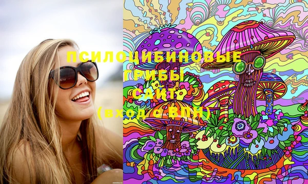 стафф Бронницы