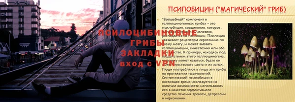 спайс Верея
