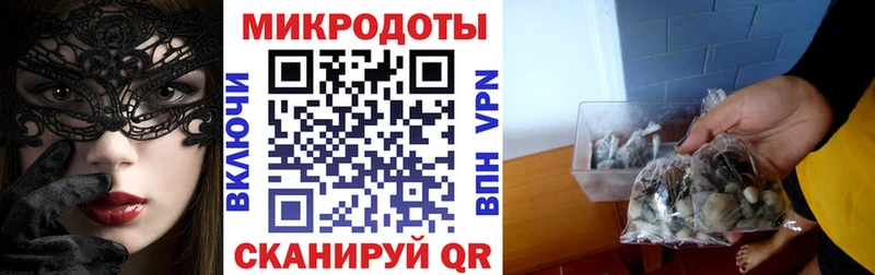 Псилоцибиновые грибы прущие грибы  Кинель 